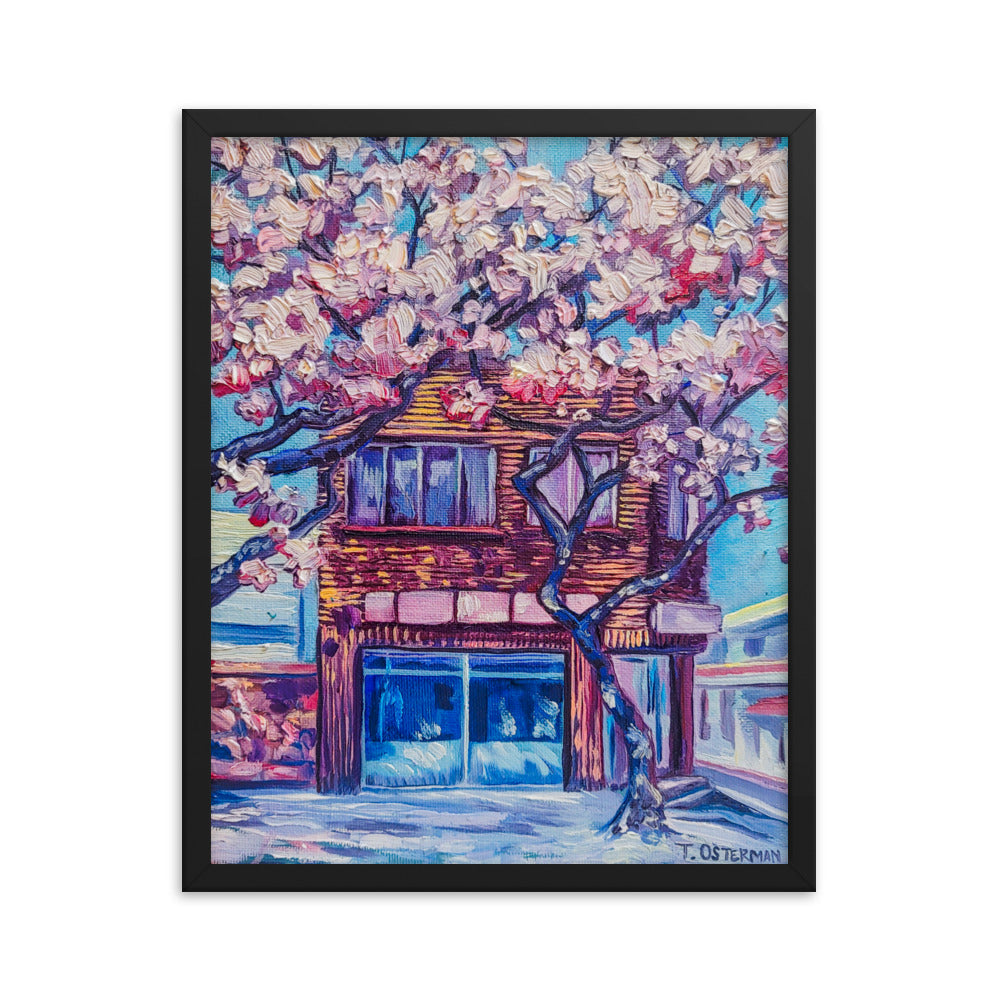 Cherry Blossom Afternoon - Framed Matte Print