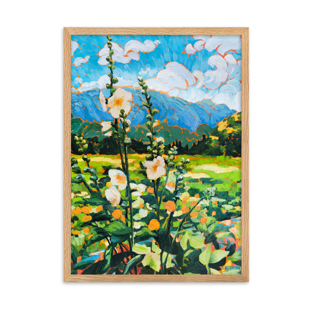 Wild Hollyhocks - Framed Matte Print